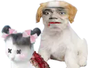 :chat_couette_mort: