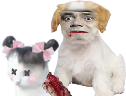 :chat_couette_mort:
