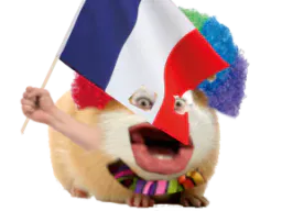 :hamster_patriote: