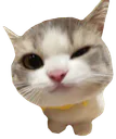 :vegeta_ultraego4: