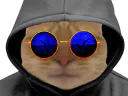 :chat_lunette: