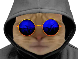 :chat_lunette: