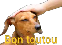:gooddog: