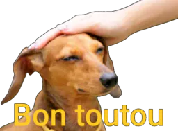 :gooddog: