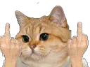 :sodium_doublefuck: