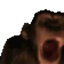 :Singe_hype: