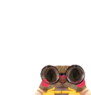 :chatTimidePetit: