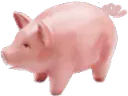 :pig: