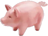 :pig: