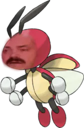 :Coxyclaque:
