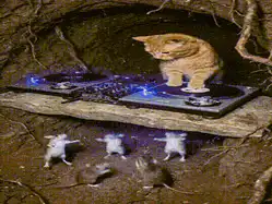 :Chat_DJ_nightclub:
