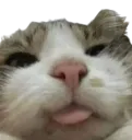 :Chat_cash: