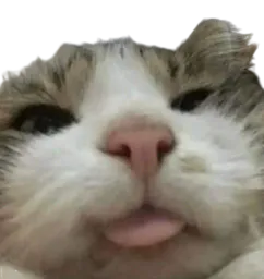 :Chat_cash: