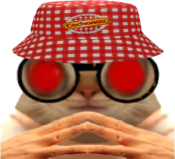 :ChaPointilleuxCochonouLaser: