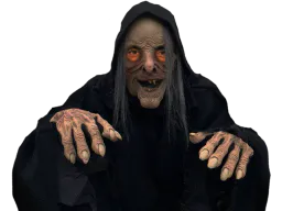 :sorciere_halloween:
