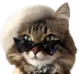 :chaberet: