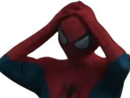 :SpiderOups2: