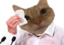 :Chat_sueur_2: