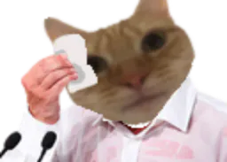 :Chat_sueur_2: