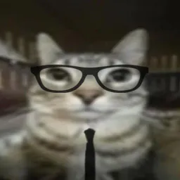 :Chat_lunette_cravatte: