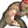 Photo de profil de PonchoManjo