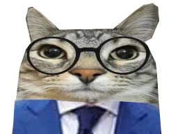 :CS_Costume: