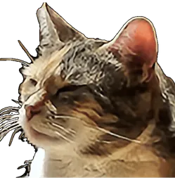 :Chat_snob: