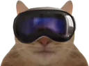 :char_vr: