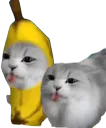 :keskispassladedan: