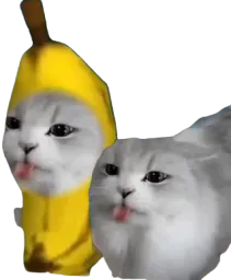 :keskispassladedan: