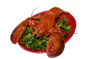 :homard: