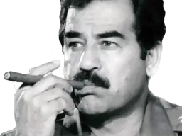 :Saddam_fume: