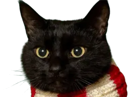 :chatsus: