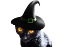 :chat_zinzin: