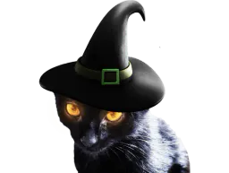 :chat_zinzin: