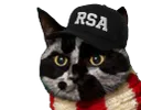 :Chat-Triss-RSA: