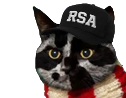 :Chat-Triss-RSA: