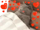 :chadormucholov: