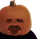 Cingle