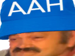 :risitas_aah_elite: