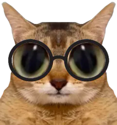 :chatde_lunettes: