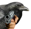 :corbeaugun: