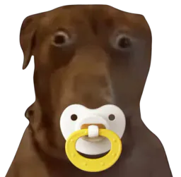 :tedditet: