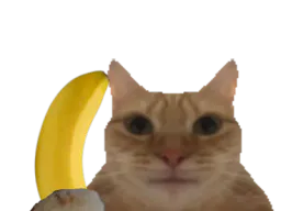 :ChatBanane: