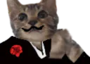 :Chaton_mafia: