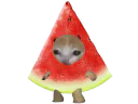 :ChatPastek:
