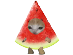 :ChatPastek: