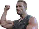 :stop_rassemblement_arnold:
