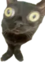 :CroquettePoisson: