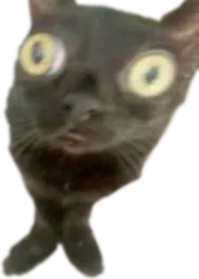 :CroquettePoisson: